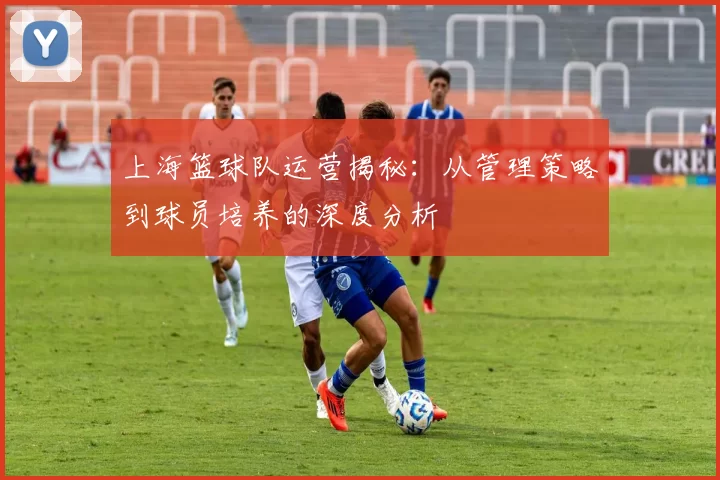上海篮球队运营揭秘：从管理策略到球员培养的深度分析